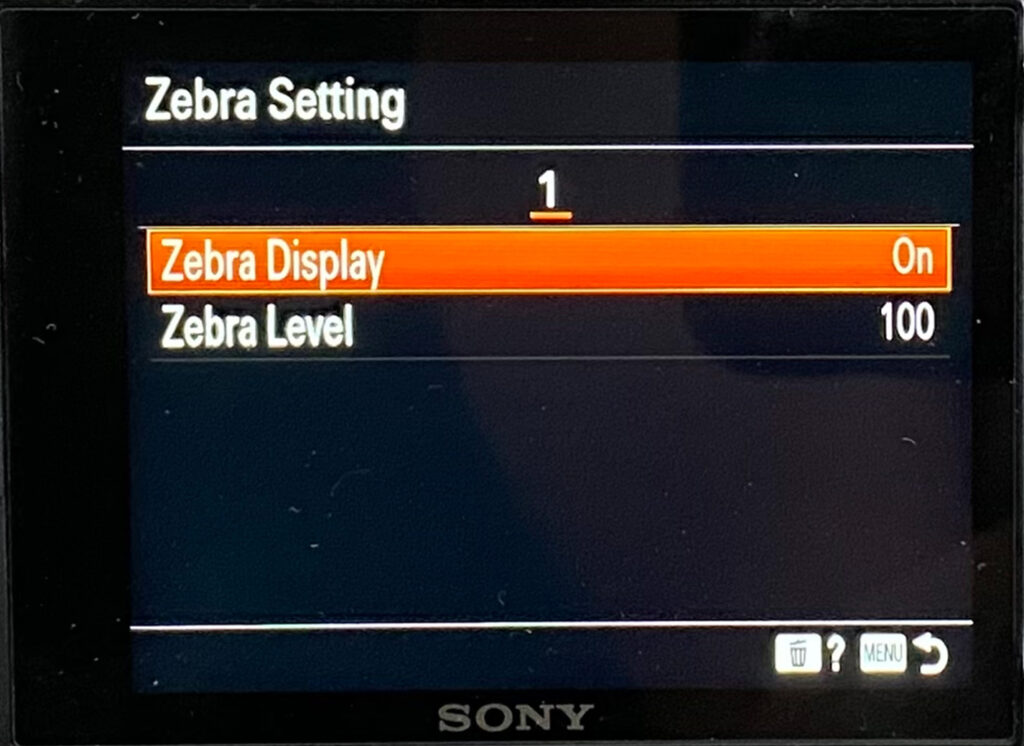Sony zve-10 zebra display