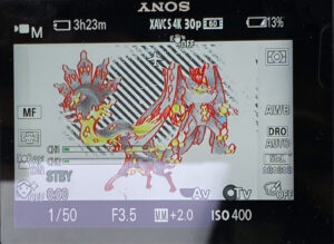Sony zve-10 overexposed zebra lines